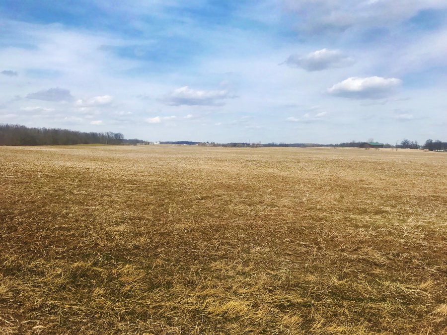LAND AUCTION - 71+/- ACRES IN 2 TRACTS IN WILLIAMS COUNTY, OHIO